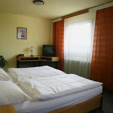 Отель Zvikov 3*