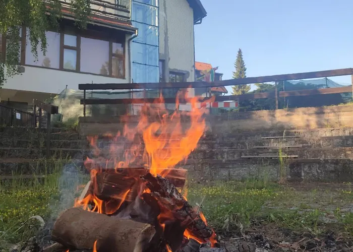 Zvikov Zvíkovské Podhradí