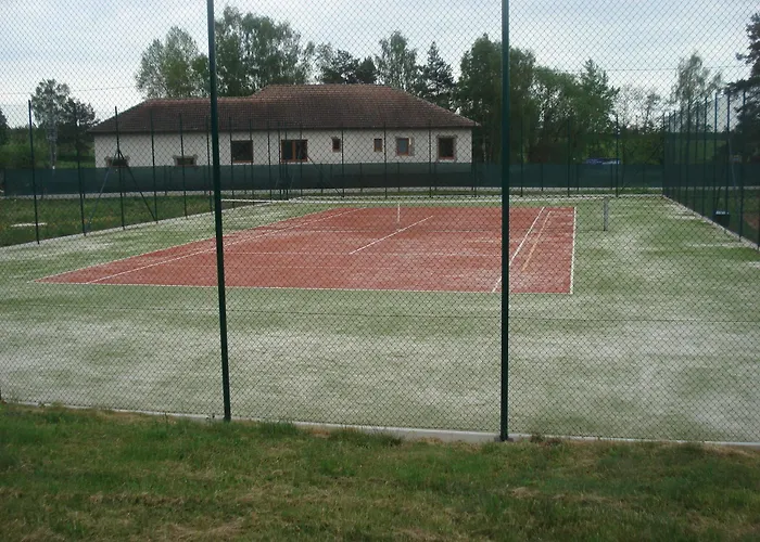 Zvikov