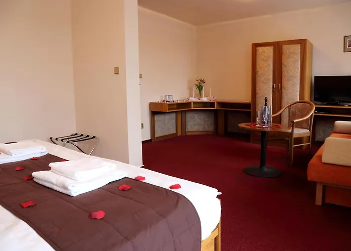 Hotel Zvikov 3*